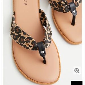 Leopard flip-flop
